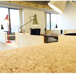 61 Mare Street Co-Working Space