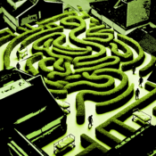 How Did We Get Here? Reflections on a Patient Experience in an Endoscopy Unit